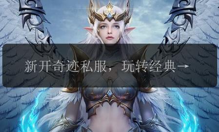 奇迹私服发布网：资源丰富多样，满足不同玩家需求